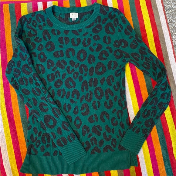 a new day Sweaters - 🐆 Emerald Leopard Print Sweater - Like new!
